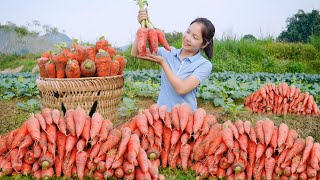 Harvesting Many Carrots Goes to countryside market sell  Hanna Daily Life [upl. by Mapel]