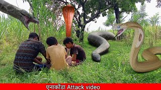 man vs wild anaconda in hindi [upl. by Chlori]