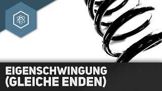 Eigenschwingung durch stehende Wellen gleiche Enden [upl. by Kanor]