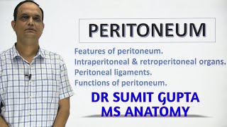 PERITONEUM Part 1 [upl. by Eugnimod]