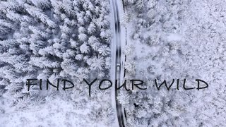 Snow Owl Sled Dog Tours  Find Your Wild  Dogumentary [upl. by Soilisav699]