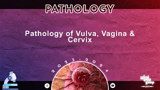 Revision of L2 Pathology of vulva vagina and cervix Pathology [upl. by Nesbitt]