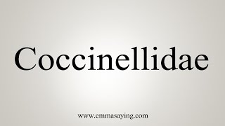 How To Say Coccinellidae [upl. by Askari]