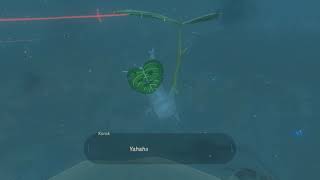 Korok seeds  Corvash Peak  Hebra Tower 46  Zelda BOTW [upl. by Clinton]