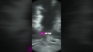 szadoves in the wind music sza rnb pop foryoupage edit capcut [upl. by Yruy]