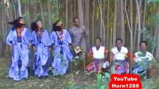 Ethiopian Traditional Music  ዋኘው አሸናፊ  እሪኩም [upl. by Silado]