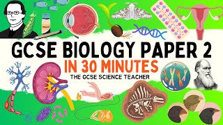 All of GCSE BIOLOGY Paper 2 in 30 minutes  The GCSE Science Teacher [upl. by Eyllek]