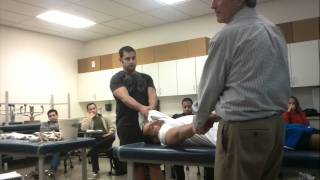 Shoulder Dislocation Hippocratic Method  Tom Demo [upl. by Okiron863]