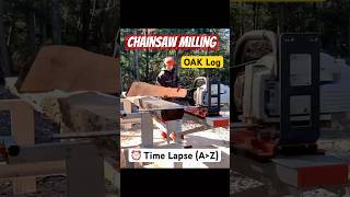 Logosol F2 Chainsaw Milling  Oak Log Time lapse ⏰  stihl chainsawmilling logosol [upl. by Briney]