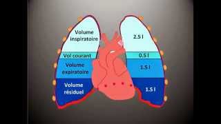 Kinésithérapie Respiratoire 3  Les Volumes Pulmonaires [upl. by Sheree]