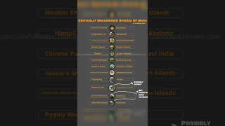 IUCN Red List2023Critically Endangered Species of 🇮🇳 [upl. by Guarino]