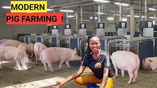 How Do You Make MONEY From Piggery   Farm Updates DETAILED [upl. by Axia]