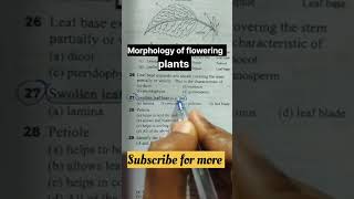 Morphology of flowering plants NEET mcq question❓ practice neet aiims biology motivation [upl. by Iralav566]