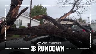 Tree crushes car after heavy rain fake Biden robocall illegal fireworks show  The Rundown [upl. by Prent]