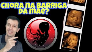 Bebê CHORA na BARRIGA da MÃE [upl. by Cohleen]