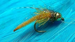 Tying a Detached Bodied Caddis Pupa with Davie McPhail [upl. by Welford]