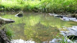 Bruit de leau qui coule 3Plan deauREAL LIFE RELAX [upl. by Netsirt593]