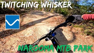 Twitching Whisker  Narooma MTB Park NSW [upl. by Rosaline949]