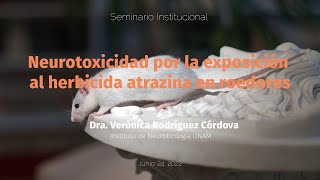 Neurotoxicidad por la exposición al herbicida atrazina en roedores [upl. by Chabot879]