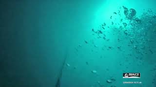 Horizon amp Realfs Diving Pigging Out Sea Water Intakes at Heron Island 260424290424 [upl. by Dyob]