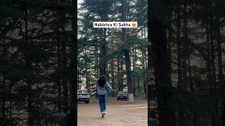 Hidden Beautiful Place In Himachal 😍❤️shorts youtubeshorts himachal naldehra [upl. by Cadel]