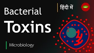 Bacterial Toxin in Hindi  Exotoxin  Endotoxin  Microbiology in Hindi  Basic Science Series [upl. by Devora471]