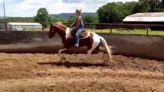 2011 APHA grandson of IMA GALLANT JET SOLD [upl. by Tandy]