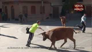 RECORTADORES EN APUROS 2013 ALDEANUEVA DE EBRO [upl. by Gwen]