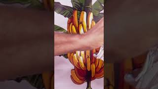 Como ARMAZENAR BANANAS corretamente 🍌  É De Casa  Receitas shorts [upl. by Onitnelav]