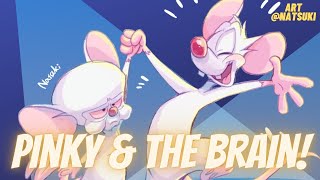 Pinky And The Brain Theme Song  Vocal Cover【Treb】 [upl. by Laehcym585]