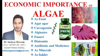 Economic Importance of Algae agaragar Diatomite as food Carrageenin Alginates [upl. by Rapsag]