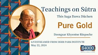 Teachings on Sūtra  Dzongsar Khyentse Rinpoche on Pure Gold [upl. by Norah3]