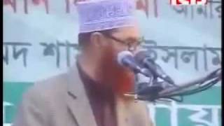 Heavy Weight Speech By Allama Deloar Hossain Saidi [upl. by Braca]