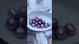 Discover the Unique Beauty of Purple Freshwater Akoya Pearls  High Luster amp Elegance [upl. by Attinahs]