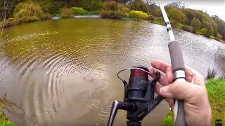 17 CARP Fishing with BREAD [upl. by Millan]