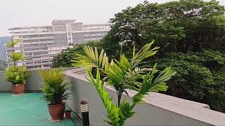 Tower Regency Hotel amp Apartments Breakfast Hall View 20240404 080632 [upl. by Argella]