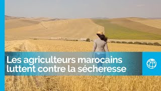 Les agriculteurs marocains luttent contre la sécheresse grâce à de meilleures pratiques agricoles [upl. by Kentiga]