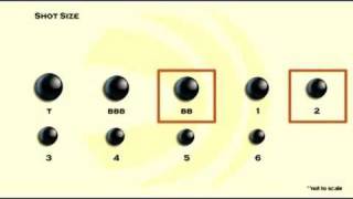 Choosing Shot Size [upl. by Ajet360]