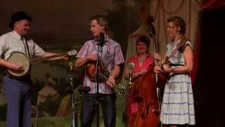 04 Foghorn Stringband 20140118 Little Blue Eyes [upl. by Eadas]