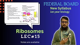 Ribosomes  Ribosomes structure and function  class 11 [upl. by Rolyt]