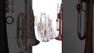 What Will You Choose kgumusic trumpet flugelhorn cornet pockettrumpet [upl. by Ettenom]