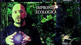 Che cosè lIMPRONTA ECOLOGICA Luca Di Francesco [upl. by Oinolopa]