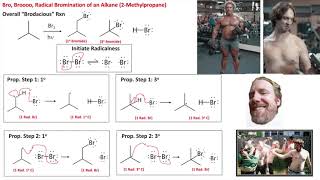 Bro Broooo Bromination of Alkanes 2Methylpropane [upl. by Naes]