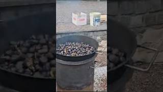 Roasted Chestnuts Street Food streetfood italychestnut roasted freshlymade biella italy [upl. by Convery]