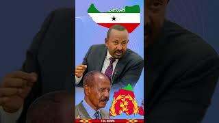 ሸውዓተ ነጥባታት ኣብዪ ኣሕመድ ንምንታይ ንኤርትራ ክወርር ከምዝደሊ Tigrai Online news today 382024 [upl. by Flam]