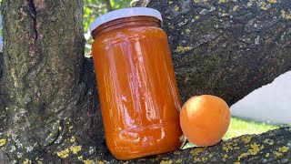 Homemade Apricot Jam Recipe [upl. by Enileoj791]