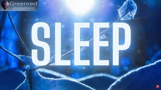 Deep Sleep Music Binaural Beats Sleeping Music Lucid Dreaming Music [upl. by Petrina]