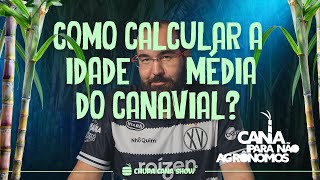 Cana para Não Agrônomos  Como calcular a idade média do canavial [upl. by Chin712]