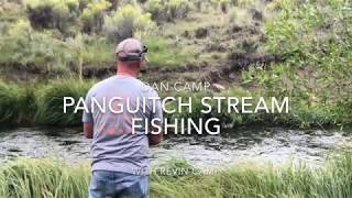 Panguitch Lake Stream Fishing [upl. by Levitan]