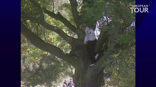 Bernhard Langer climbs a tree to hit golf shot [upl. by Hsur]